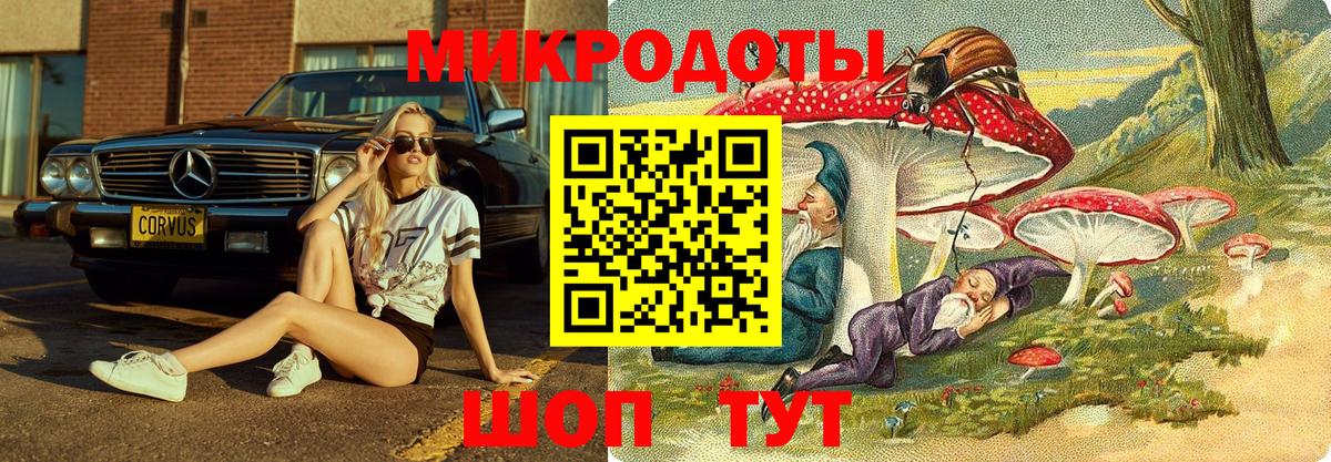 Галлюциногенные грибы мухоморы Псков