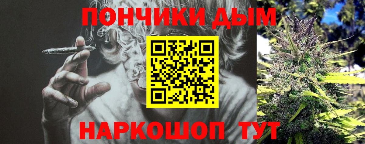 Конопля план  Бошки марихуана ГИДРОПОН  Каннабис SATIVA & INDICA  Псков  Вход с VPN 